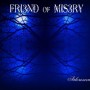 Friend of misery