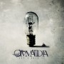 Ommatidia