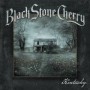 Black Stone Cherry