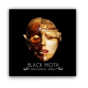 blackmoth