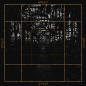 Holispark-Sonic-Bloom