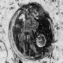 malthusian