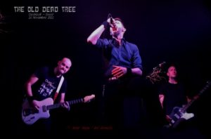 The Old Dead Treel 26 nov 229