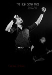 photo 8 The Old Dead Treel 26 nov 2217