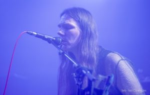 2 Tangerinecat - WTF - Seb - Soilchronicles