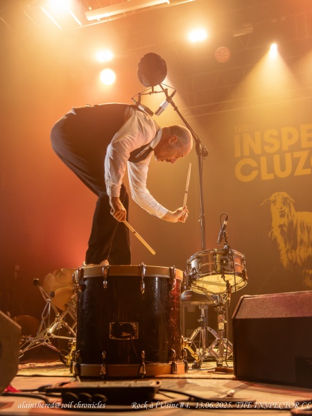 the Inspector Cluzo-23