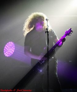 Lumières sur ...Fredrik Åkesson