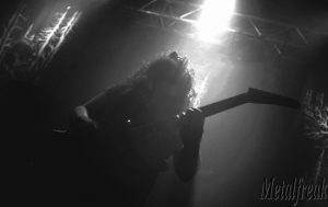 Wolves In The Throne Room 01 (Copier)