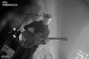 ulver (13) (800x533)