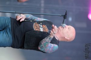 07 Rose Tattoo 08 (Copier)