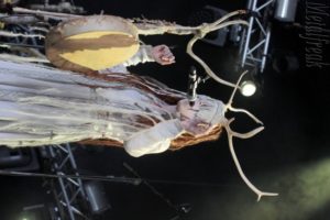 27 Heilung 06 (Copier)