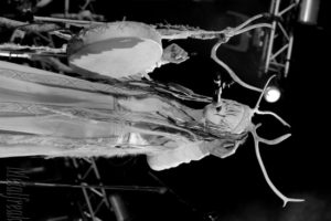 27 Heilung 07 (Copier)