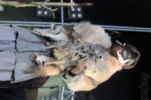 27 Heilung 10 (Copier)