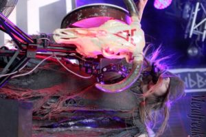 29 Arkona 03 (Copier)