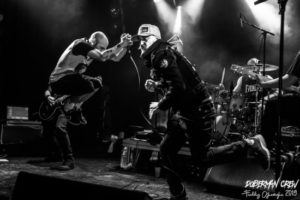 10 DOBERMAN (8)_ModifFB