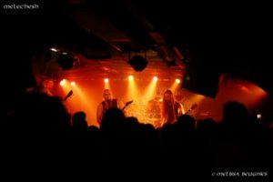 melechesh (14) (800x533)