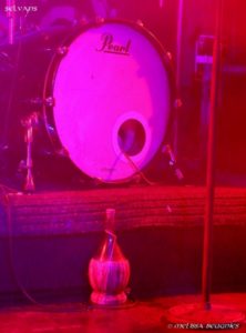 selvans (15) (592x800)