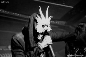 selvans (16) (800x533)