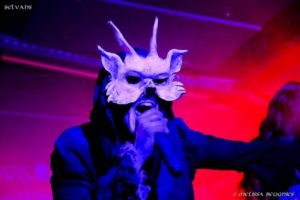 selvans (17) (800x533)