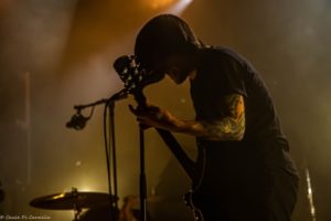 BIRDS IN ROW_08-02-2020-NINKASI-12