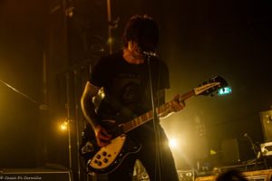 BIRDS IN ROW_08-02-2020-NINKASI-2