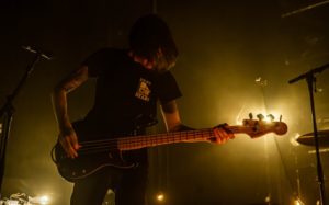 BIRDS IN ROW_08-02-2020-NINKASI-3