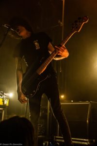 BIRDS IN ROW_08-02-2020-NINKASI-4