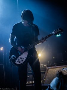 BIRDS IN ROW_08-02-2020-NINKASI-7