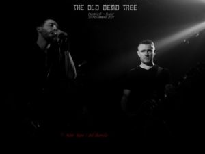 The Old Dead Treel 26 nov 2222