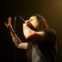 Betraying The Martyrs 14