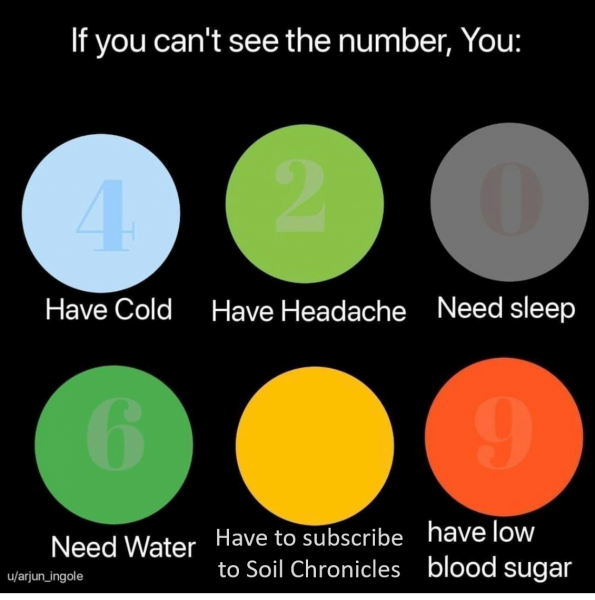 Vidéos de d&rsquo;été (2/3)