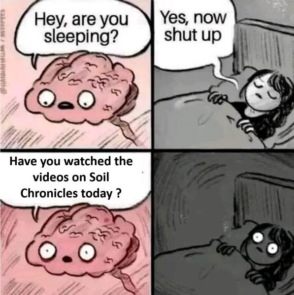 Vidéos de l&rsquo;été (3/3)