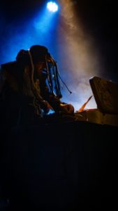 Percidae par Cropuscule-5