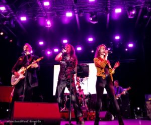 RUDE MOOD.ROCKFEST 1 MDB 11.05.2025-066