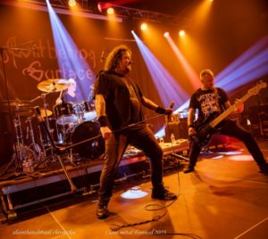 WHITERING SURFACE-12