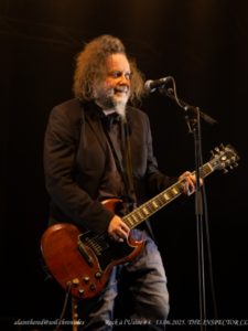 the Inspector Cluzo-21