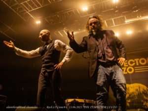 the Inspector Cluzo-24