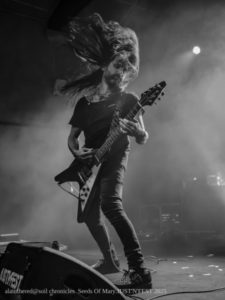 SEEDS OF MARY just'n'fest 2025-06