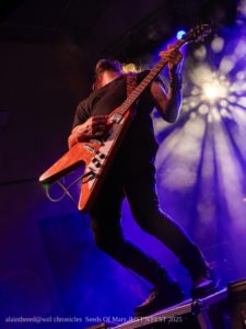 SEEDS OF MARY just'n'fest 2025-21